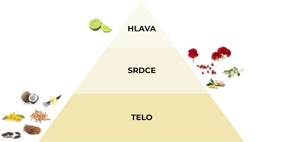 Pyramída vôní parfumovaného spreju Fiori d’Oriente